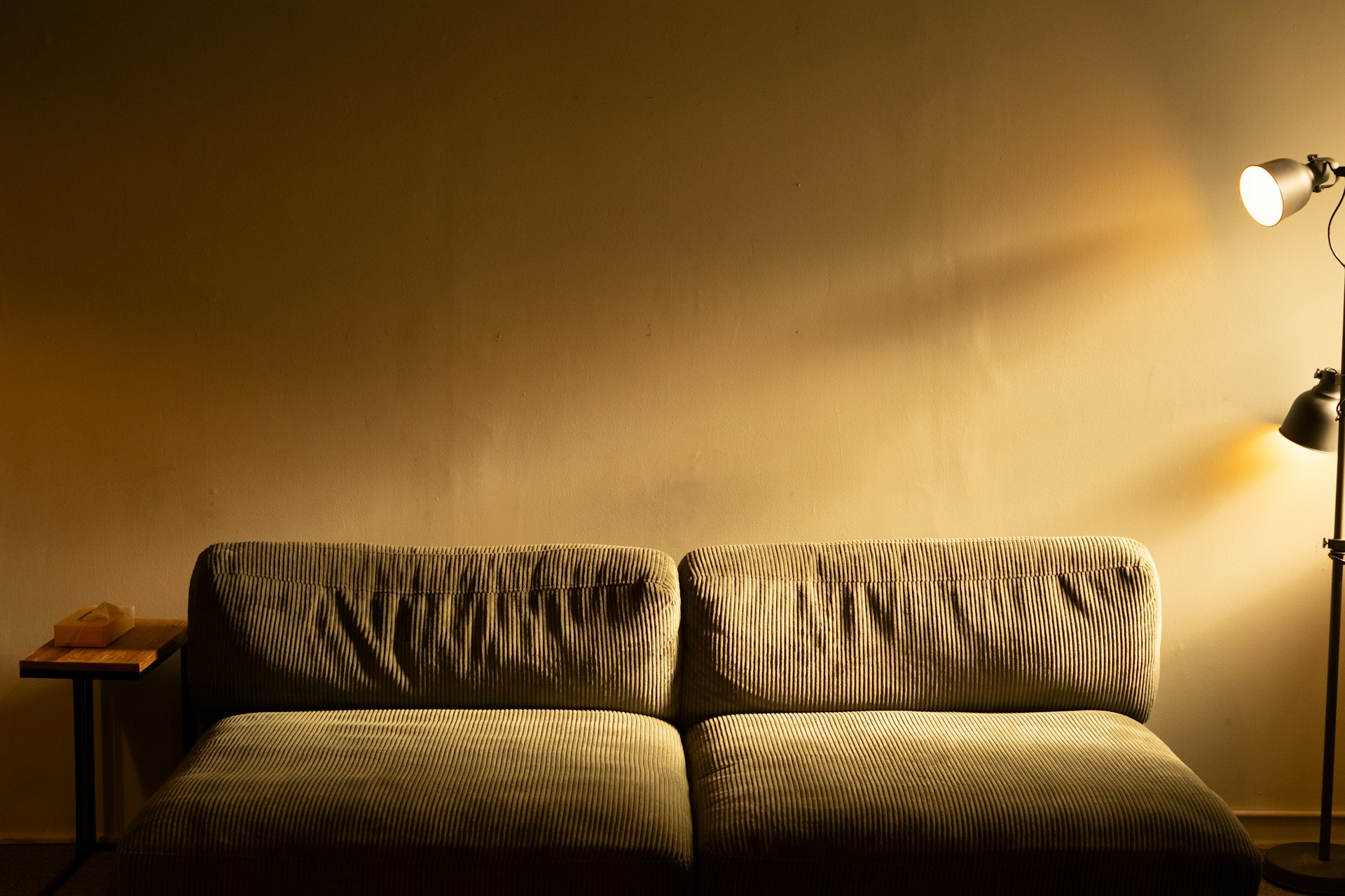 A soft olive sofa in warm evening light beside a wall lamp